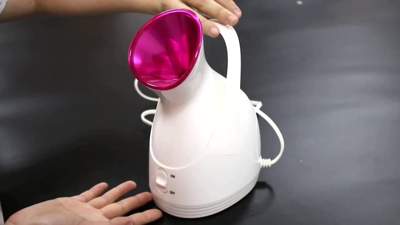 Ready Stock Portable Handle Face Steamer Nano Electric Facial Steamer