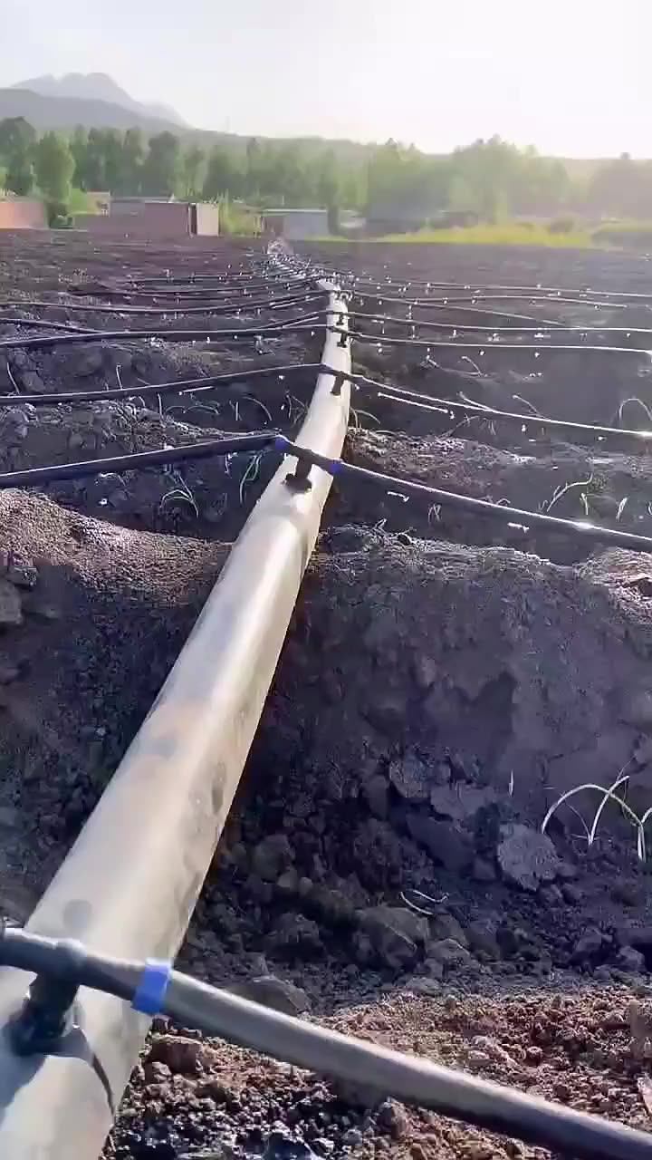 Drip Irrigation Piping System The Transmitter Drip Tape Roll Is Used