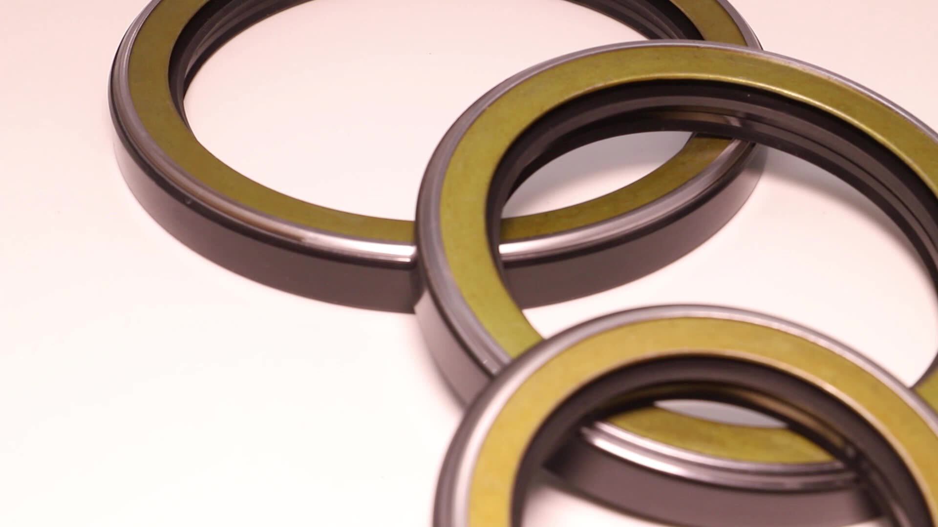 Stainless Steel Rotary Oil Seal Air Compressor Shaft Seal Ptfe Lip