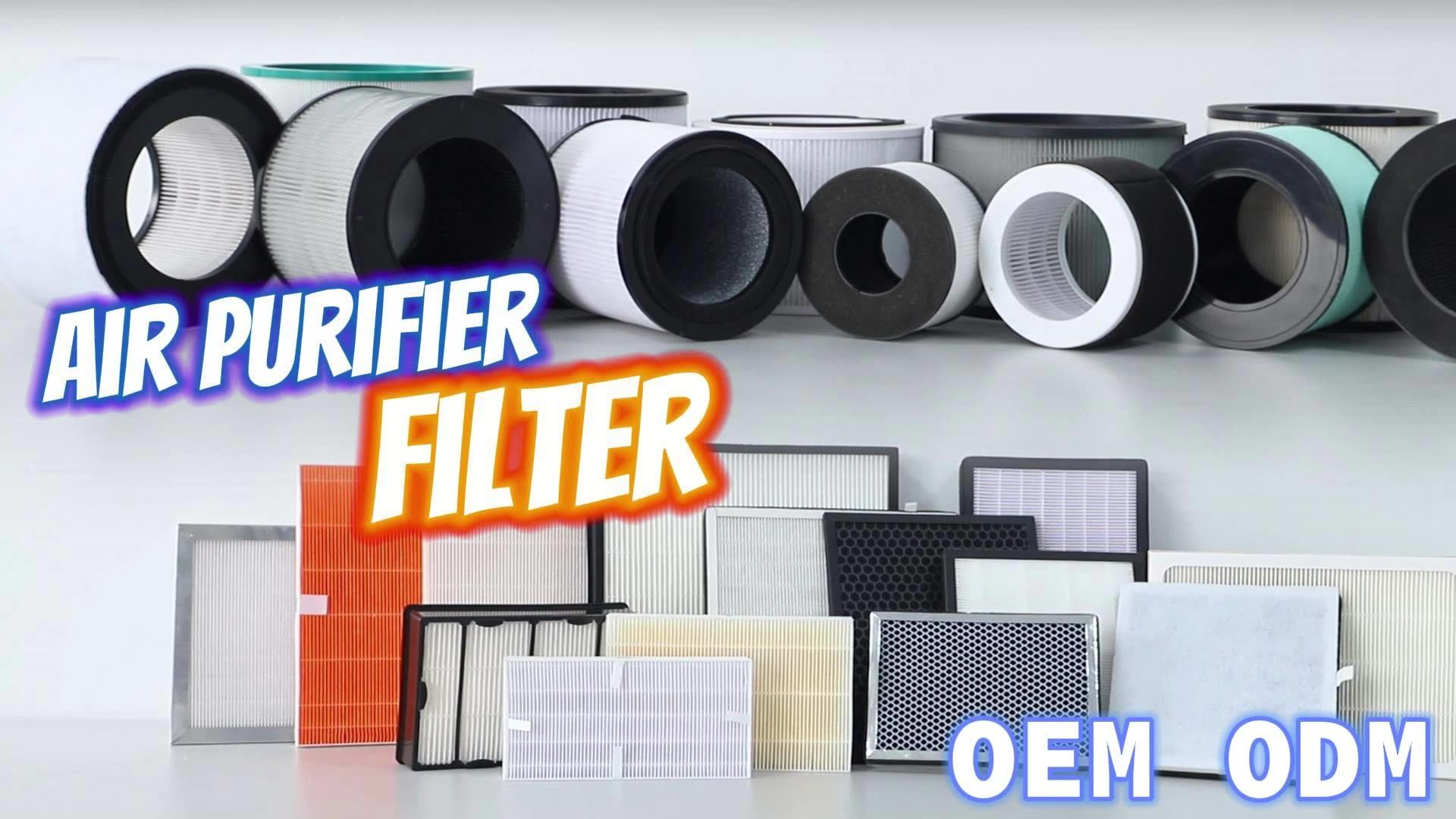 Activated Carbon Filter And True Hepa 5500 Filter Replacement 116130