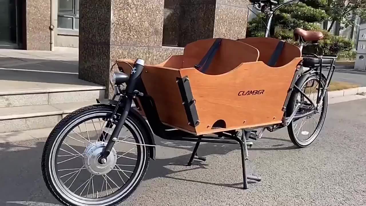 Two Wheel Front Loading Cargo Box Electric Cargo Bike For Family Use