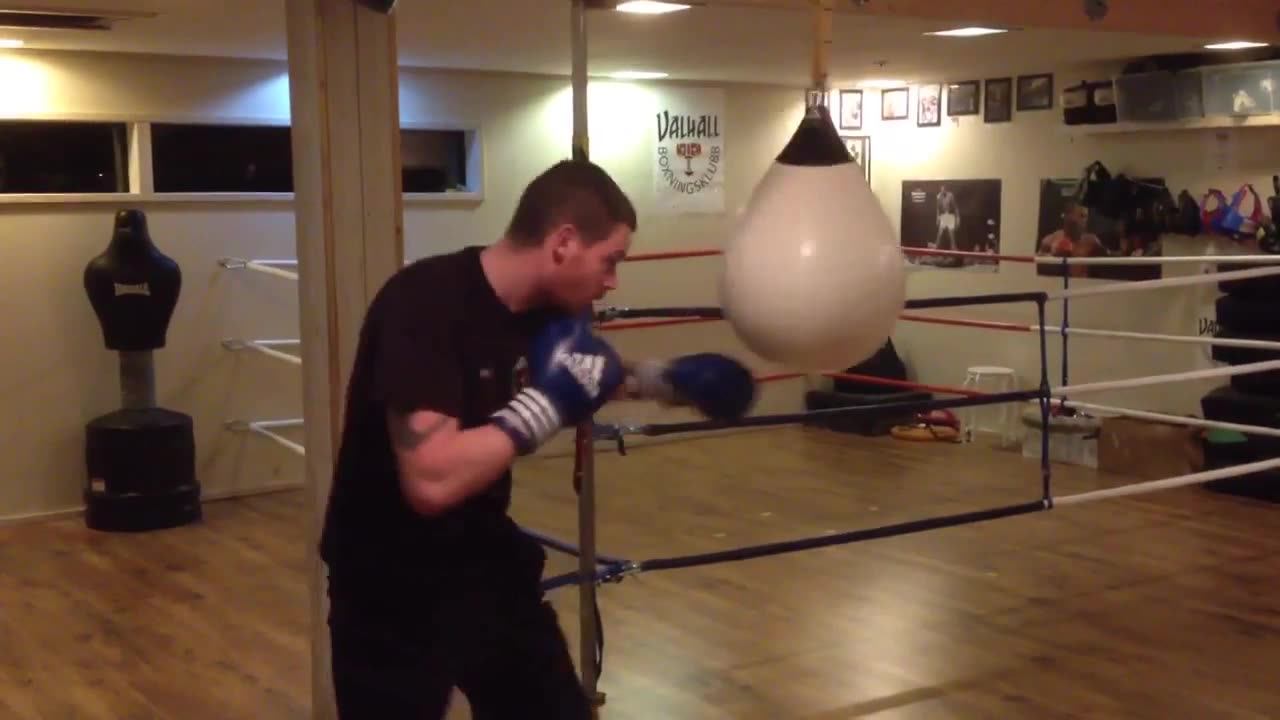 Aqua Punching Bag Water Filled Heavy Punching Bag Water Filled Punching