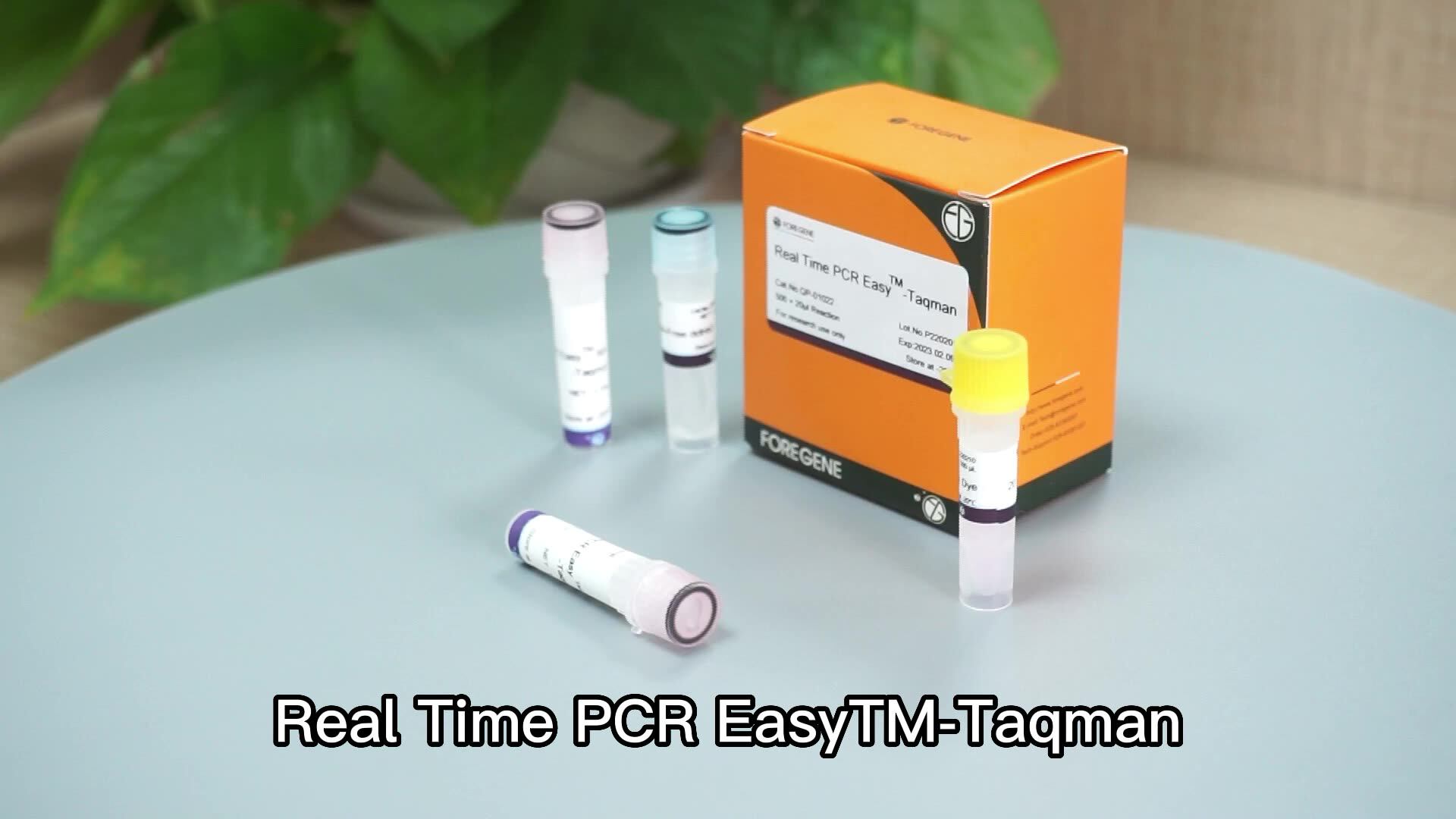Taqman探针法实时pcr试剂盒探针qpcr实时 - Buy 探针qpcr实时,实时qpcr,实时qpcr试剂盒 Product on ...