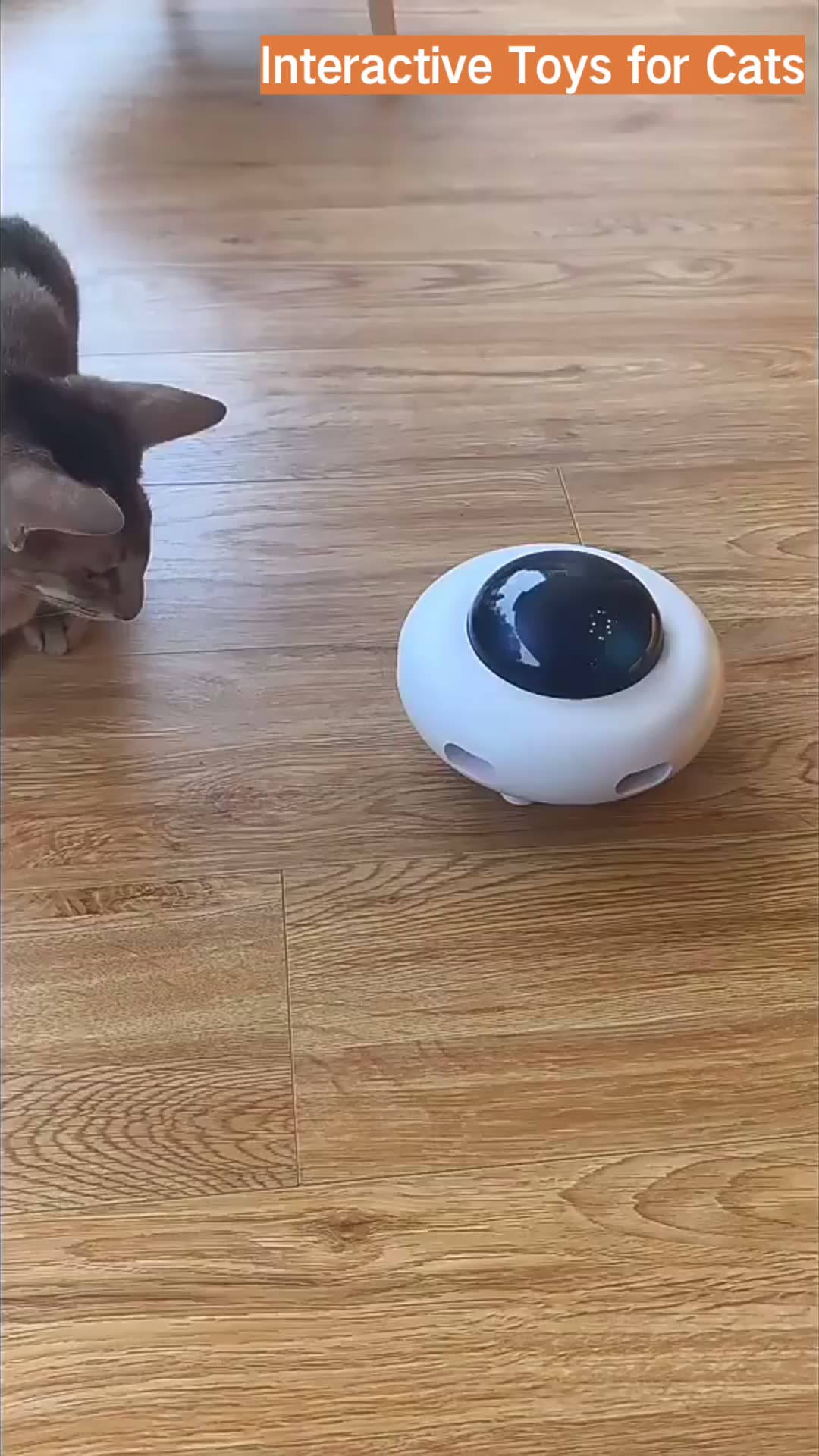 Cat Toy Hunt Usb Charging Ufo Pet Turntable Catching Training Toys