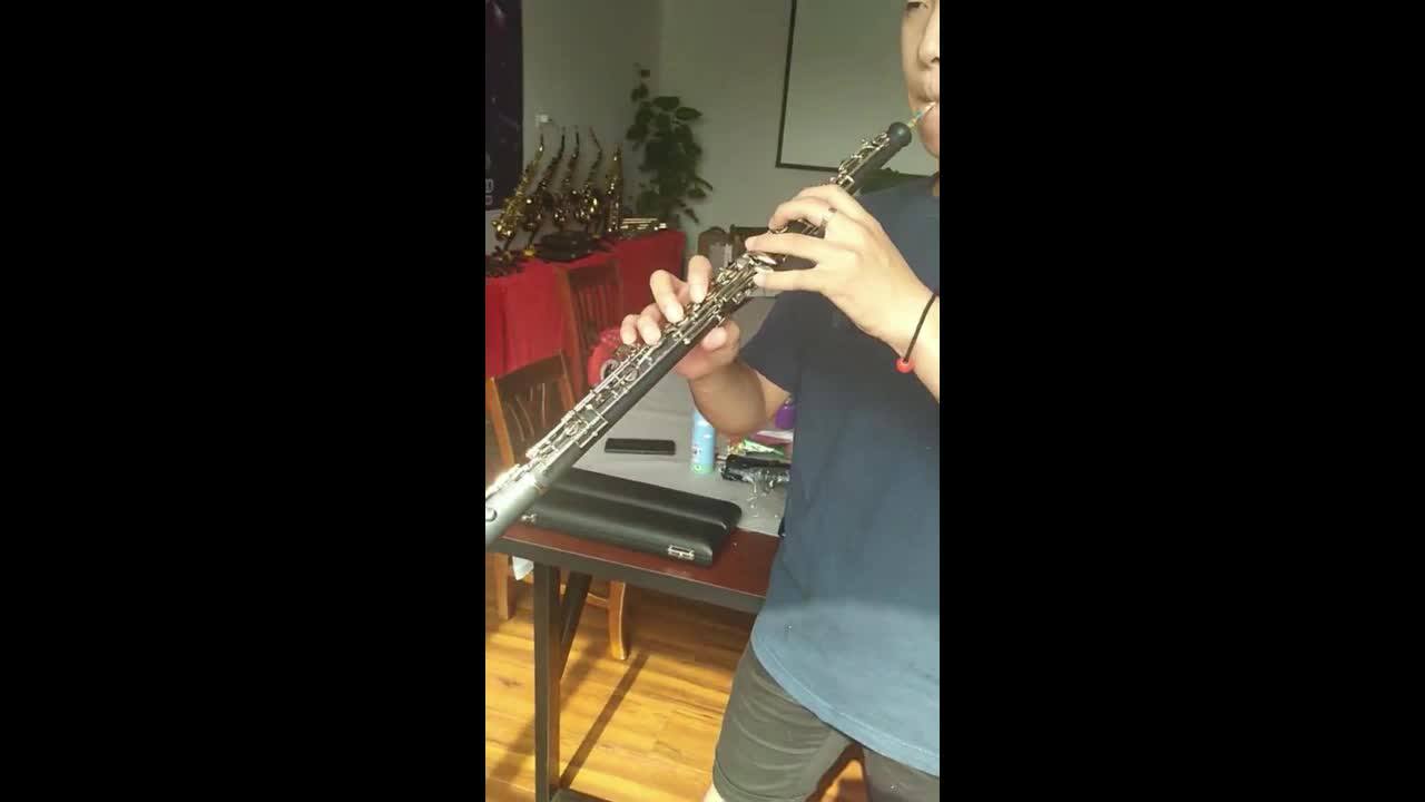 オーボエ　MORESKY S16 オーボエ MORESKY S16 MORESKY Professional C Key Oboe Semi