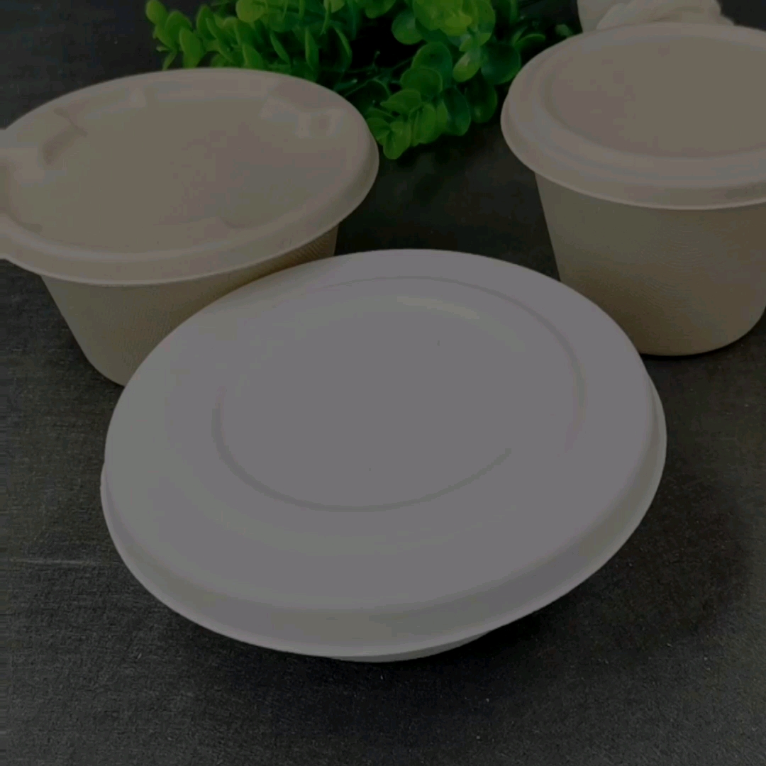 Eco Biodegradable 500 Ml Disposable Sugarcane Bagasse Salad Bowl Sets