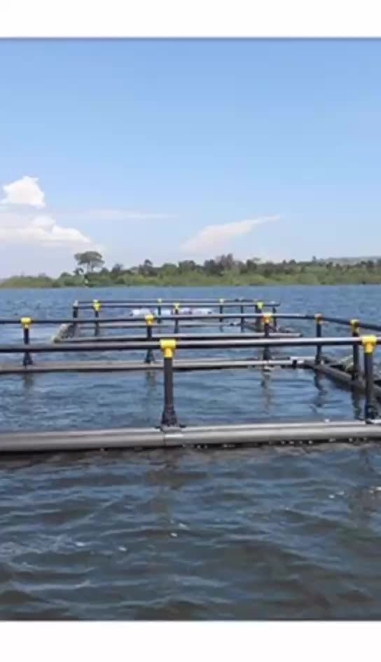 12x12m Square Hdpe Tilapia Fish Farming Cages For Lake Buy Tilapia Fish Cage System