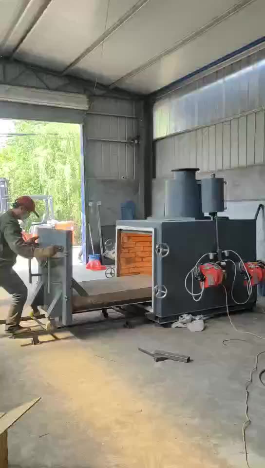 大型动物焚烧炉养殖场病死动物尸体火化炉危废物处理无烟焚烧炉 - 动物焚烧路