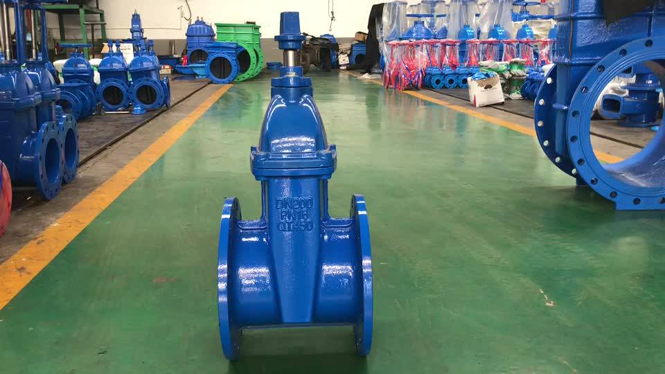 Dn 200 8 Inch Gate Valve Resilient Seated Ductile Cast Iron Gate Valve Square Nut Operation