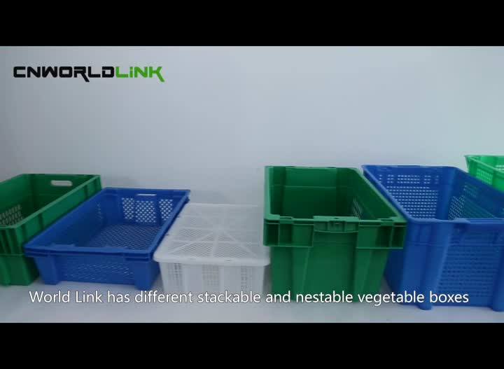 Stackable And Nestable Plastic Mesh Container For Fruit And Vegetables