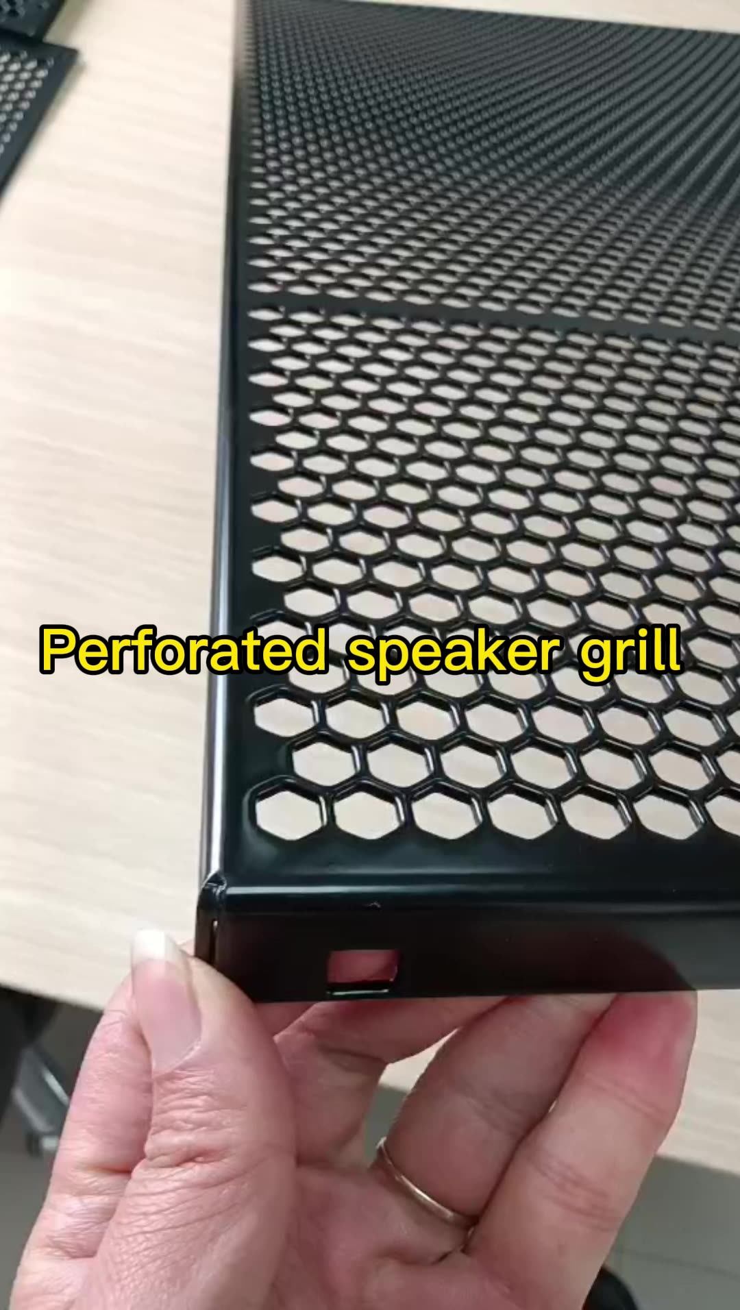 Outdoor Loudspeaker Perforated Powder Coated Metal Speaker