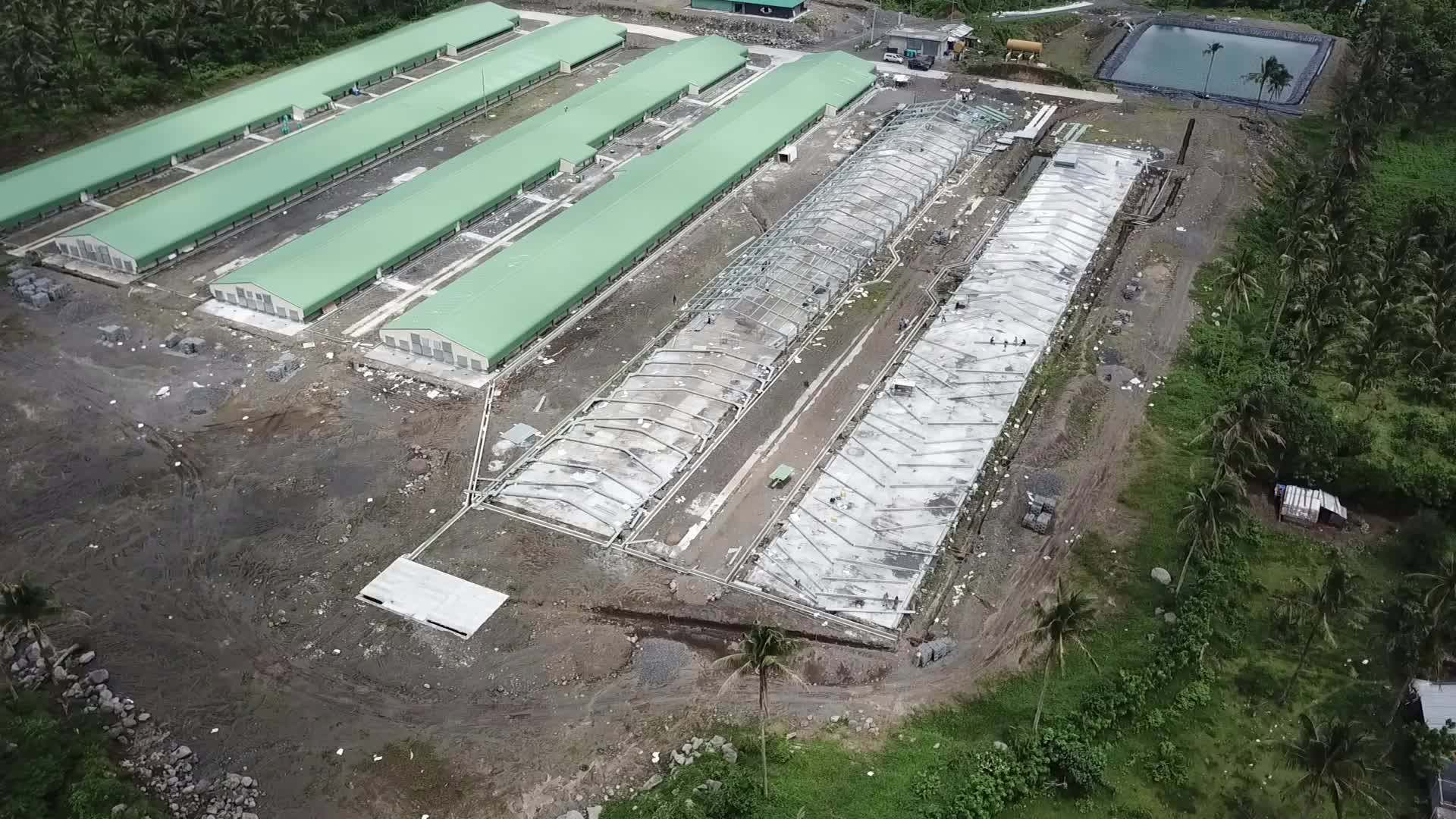 Tunnel Ventilated Poultry House Philippines Houses Prefabricated Buy