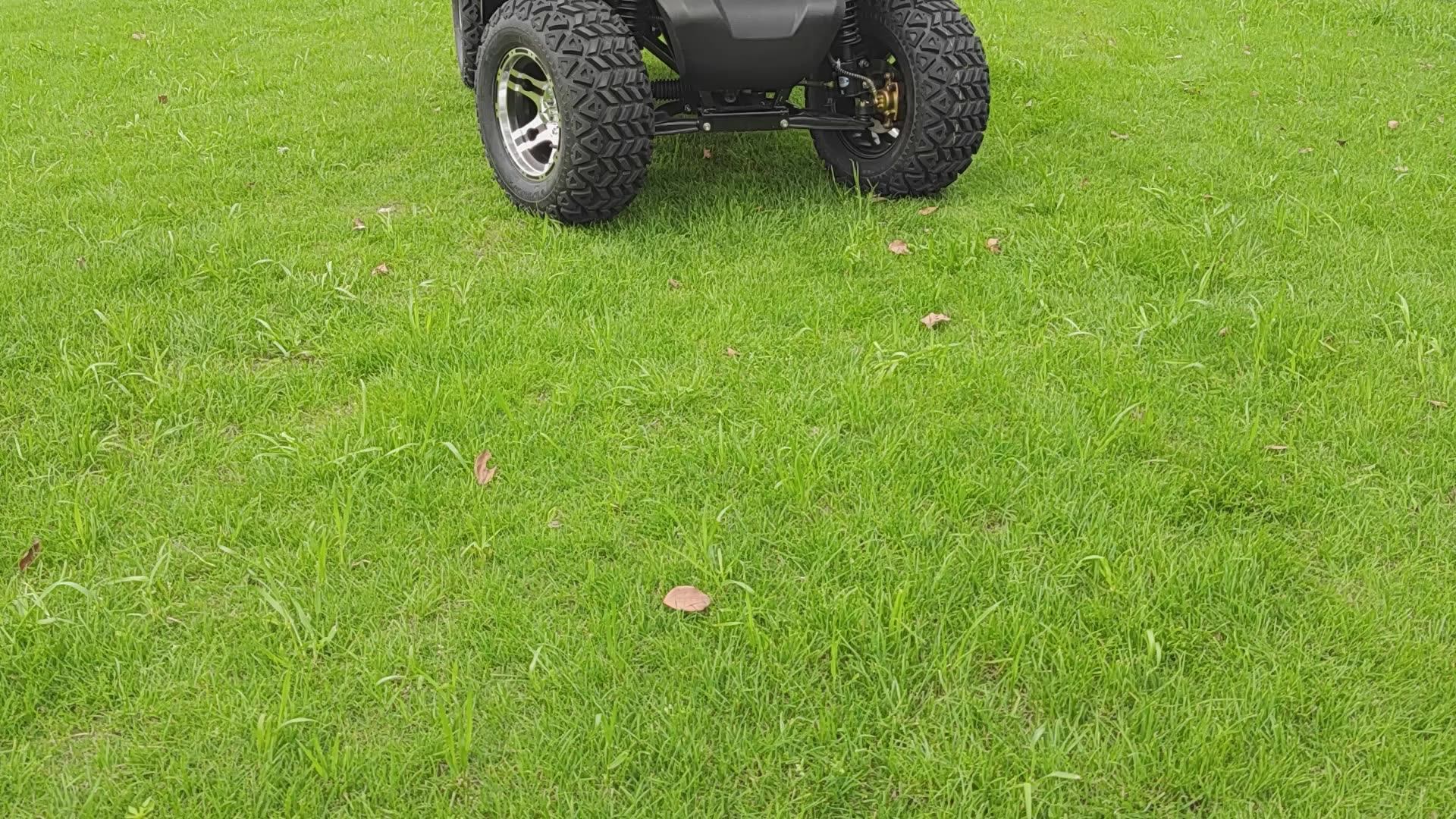 72 Volt 2 Seat Golf Carts Newest Design Lifted Suspension Golf Cart