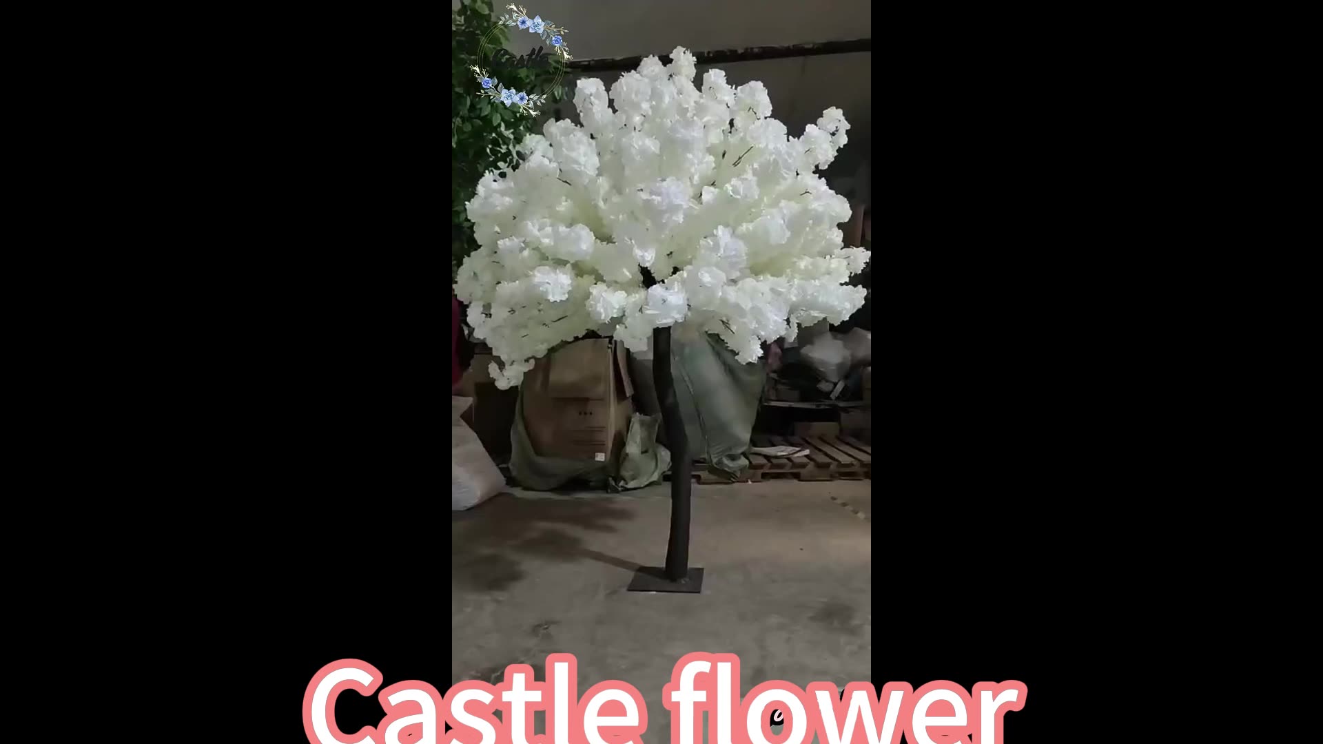 Cerisiers artificiels en fleurs – Superbe fleur japonaise Sakura pour la maison, le bureau, les fêtes – Faux arbre Sakura blanc pour intérieur et extérieur par Cherry Blossom White