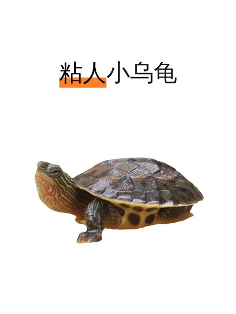 粘人小乌龟-淘宝逛一逛