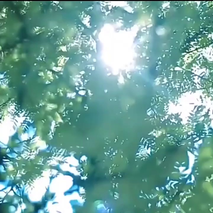 129块的风扇、真能够吹出“空调级”清凉？