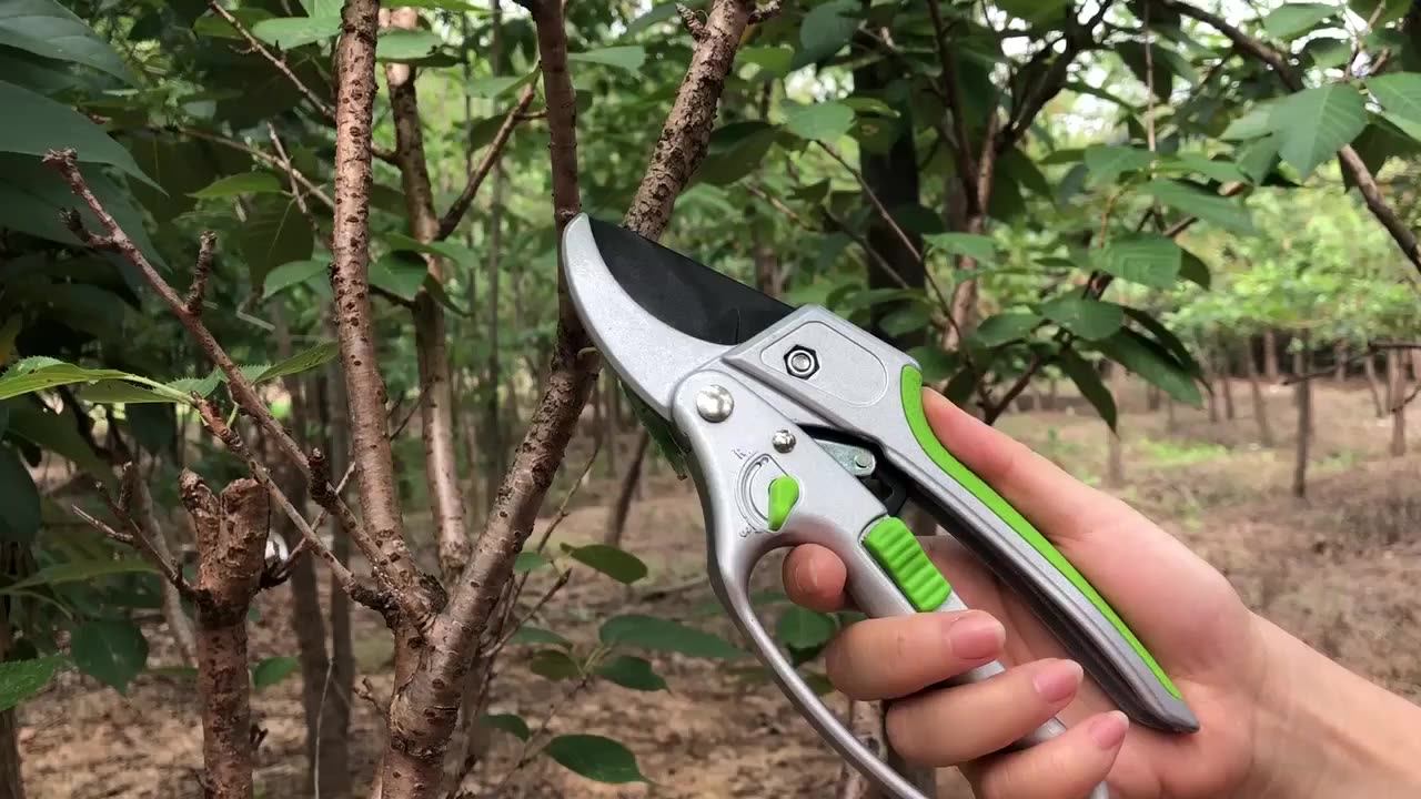 Vertak Global Patent Innovation 2 In 1 Aluminium Ratchet Garden Pruner