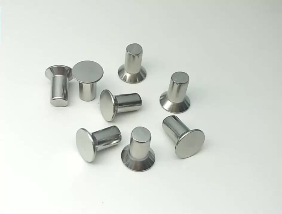 High Quality Countersunk Head Solid Rivets Stainless Steel Fan Rivets