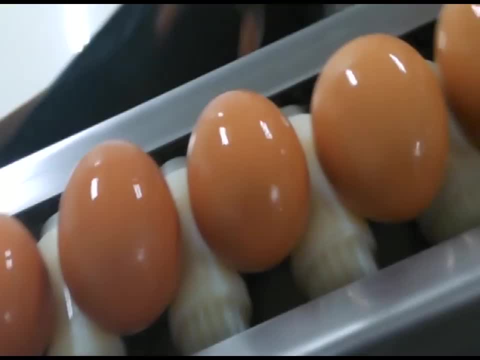 Automatic Whole Egg Powder Processing Plant Buy Whole Egg Powder