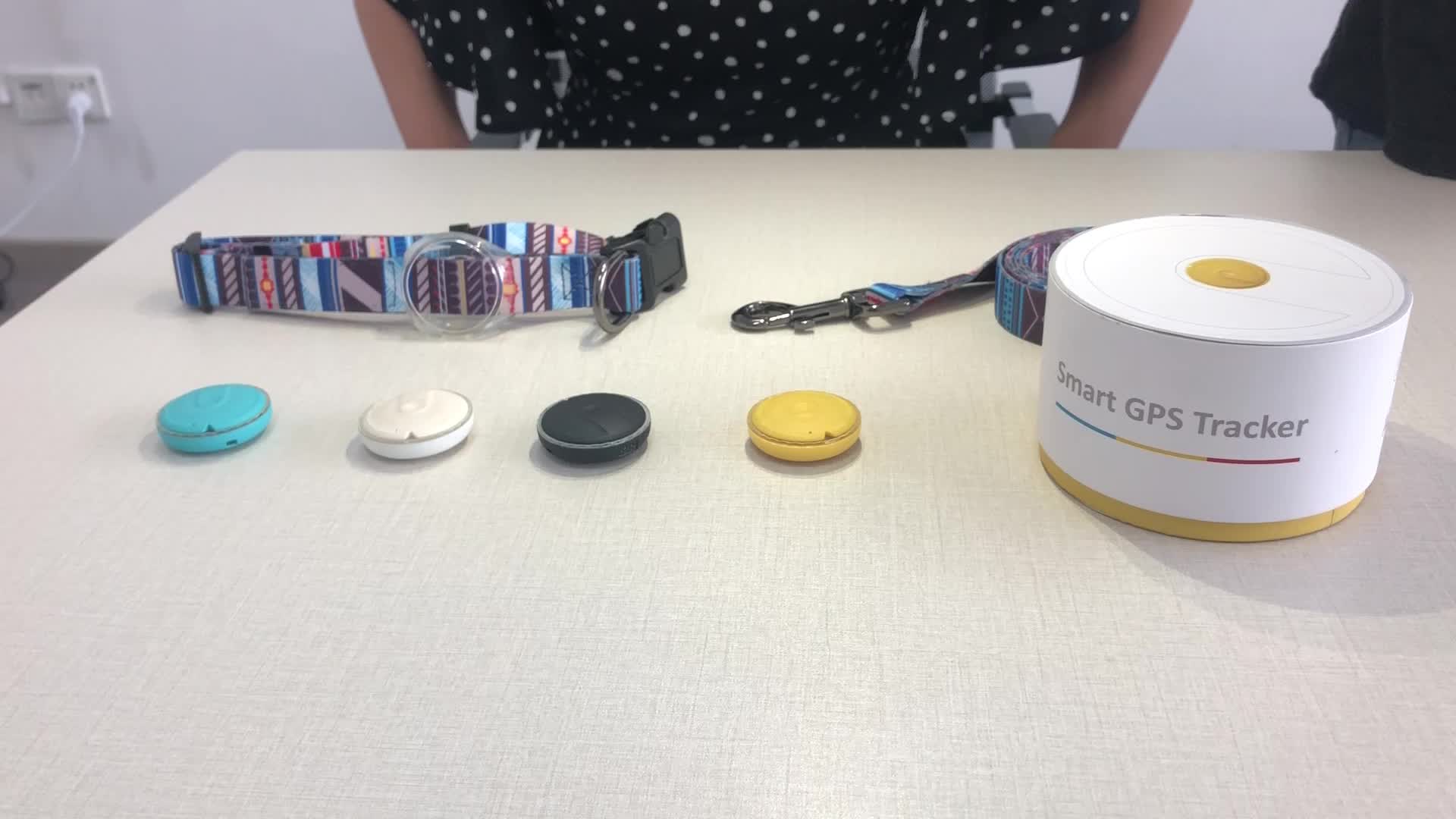 Eview Gps Collar High Accuracy Chip Pet Activity Tracker For Cat Dogs