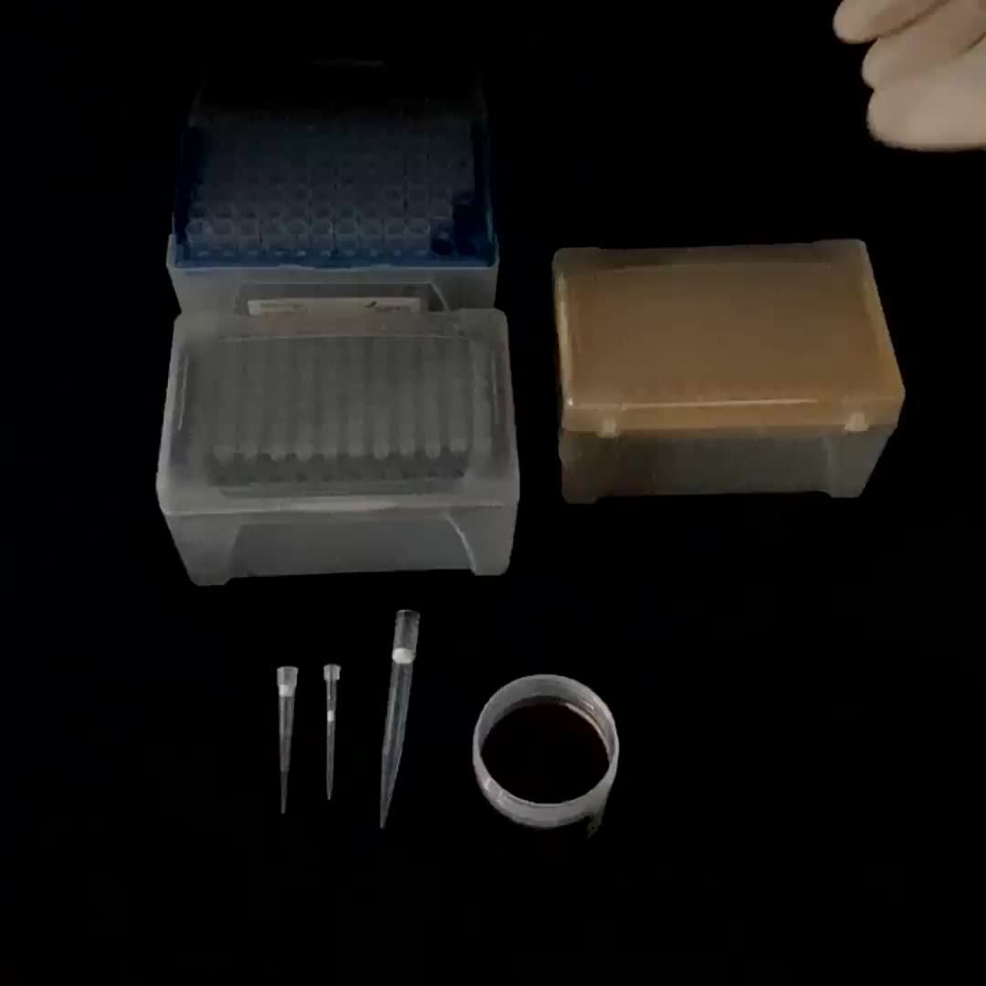 Lab Universal 1000ul 1250ul Sterile Racked Filter Pipette Tips Buy