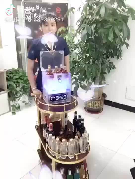 Double oval wine cart Stainless steel coffee table rack Bar tea service cart Catering delivery cart Hot pot cart