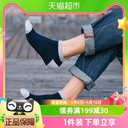 Platinum embroidered Xinjiang cotton socks men's spring and summer socks deodorant moisture-absorbent boat socks business socks mid-calf socks 5 ຄູ່