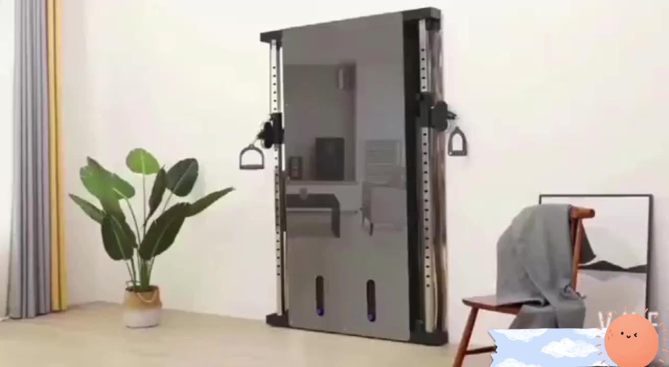 Factory Price Single Multifunction Pulley System Trainer Dual Wall