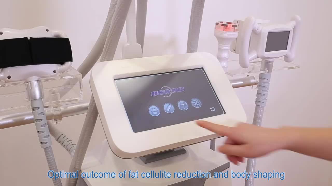 Multifunctional Beauty Equipment Cryolipolysis Vacuum Therapy