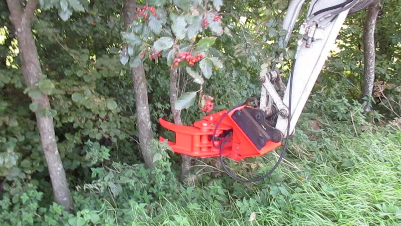 Hydraulic Log Wood Timber Tree Splitter Processor With Shear For Tree