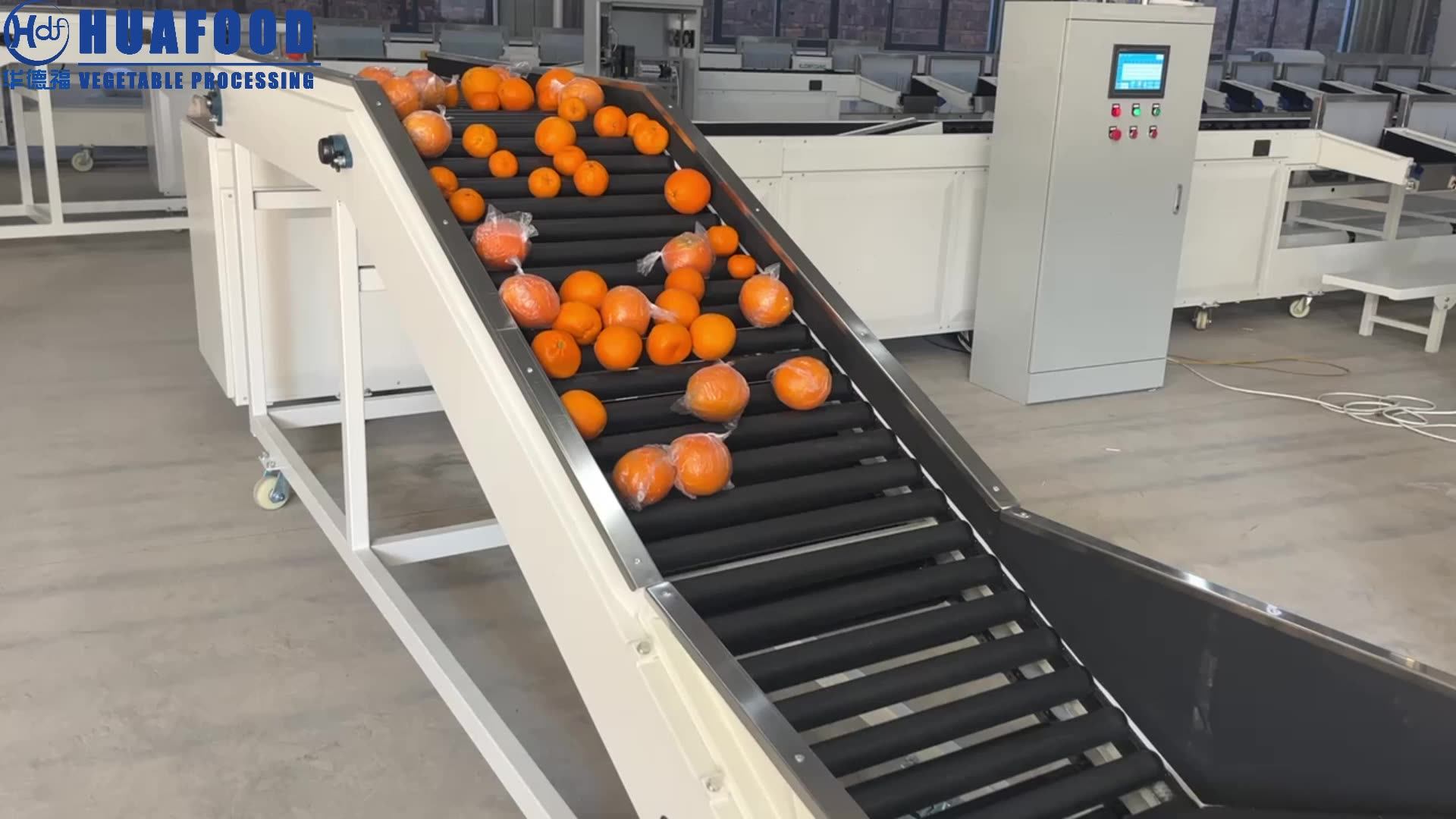 Automatic Fruit And Vegetable Sorting Grading Machine Auto Fruits