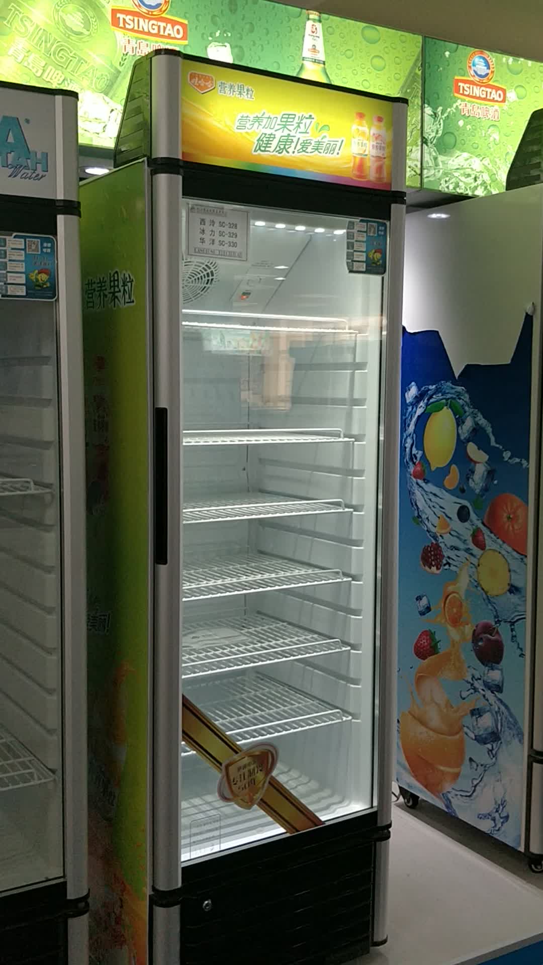 Hot Sale Easy Installation 275l Soft Drink 12v