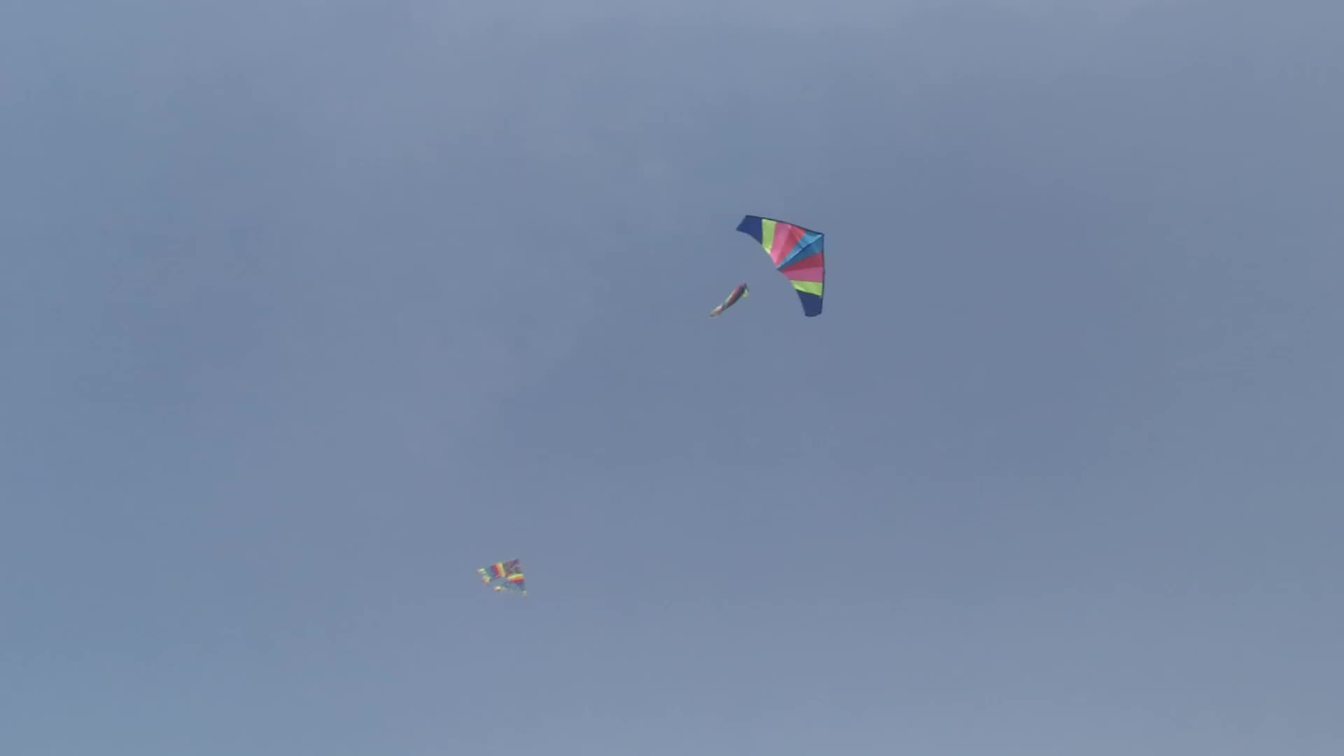 New Design Delta Kite Stealth Fighter Kite Kite Plane Hot Sale Buy