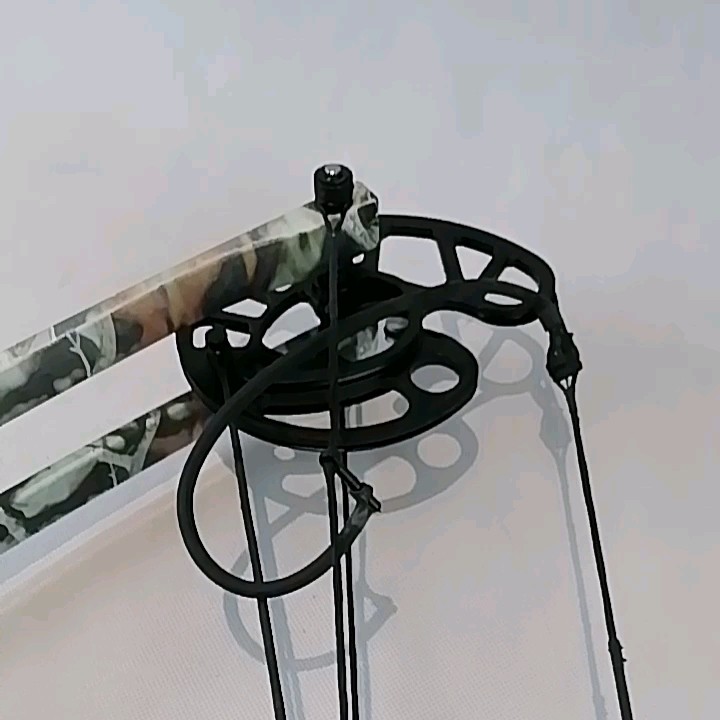 M109d Hunting Fishing Competition Compound Bow For Shooting Archery