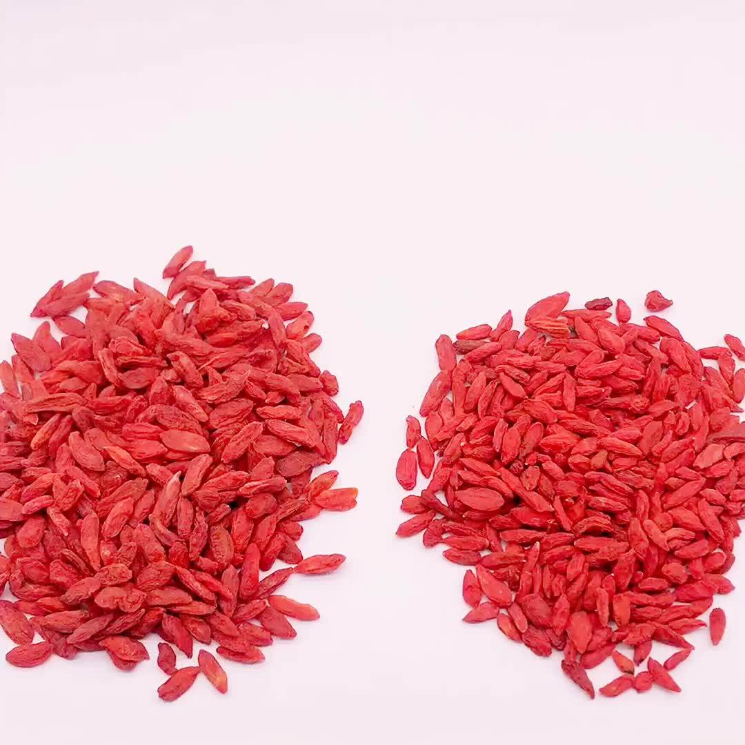 Goji Seed chinese Black Goji Berry For Enhancing Immunity,Antiaging
