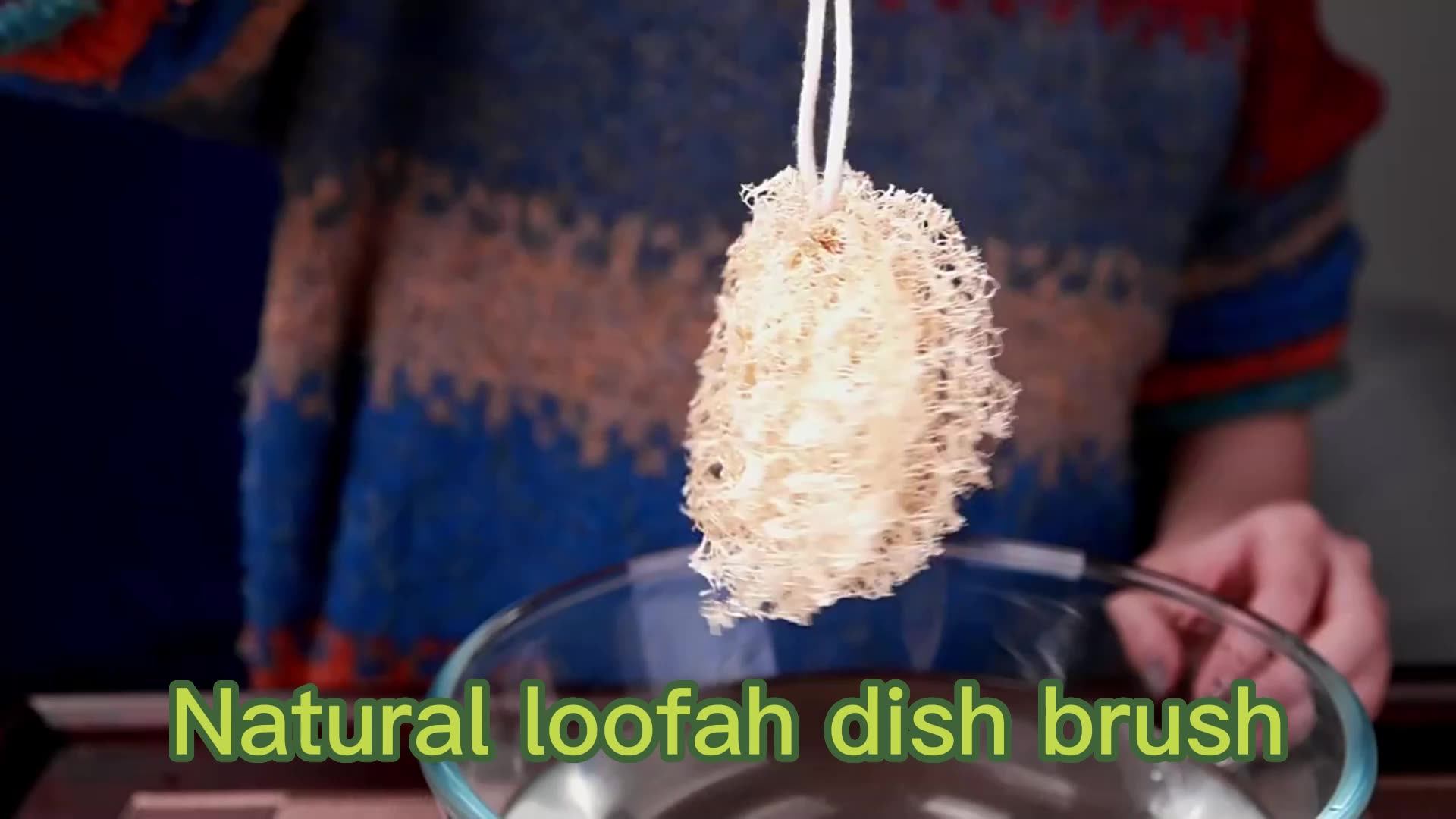 Natural Loofah Cleaning Brush Kitchen Dish Washing Cloth Dish Pot