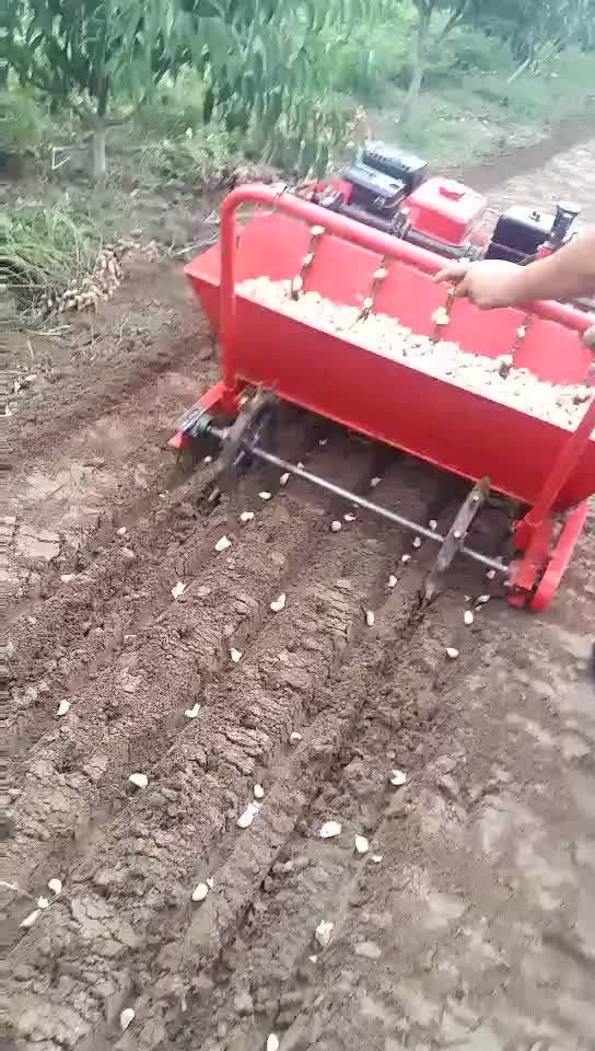 Hand Garlic Planter Garlic Machinery Planter Garlic Planter 4 Rows