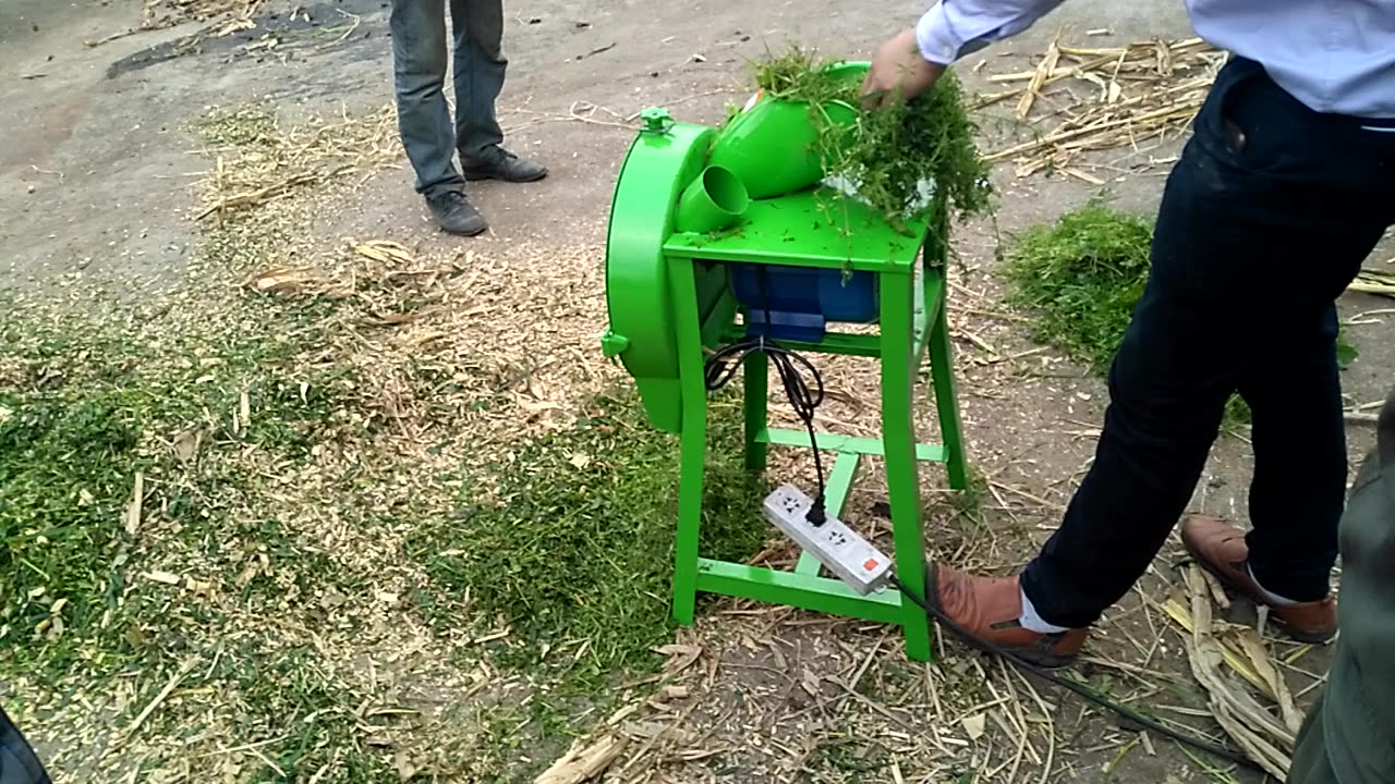 Newest Type Mini Green Forage Chopper For Sale Buy Green Forage