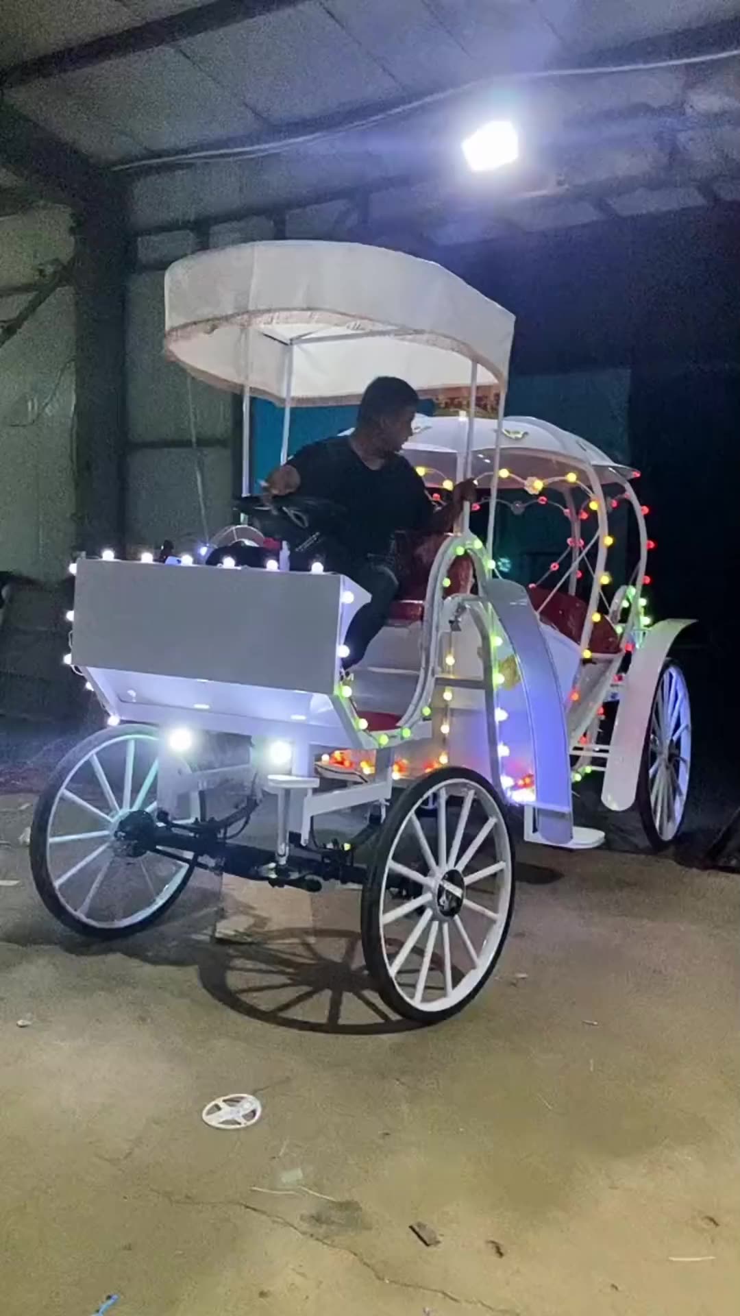 Luxury Cinderella Carriage Princess Carriage With Led/cinderella