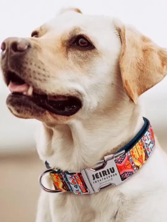 Heyri Pet 2022 New Design Bohemia Style Pet Dog Collars Top Quality Metal Alloy Buckle Durable