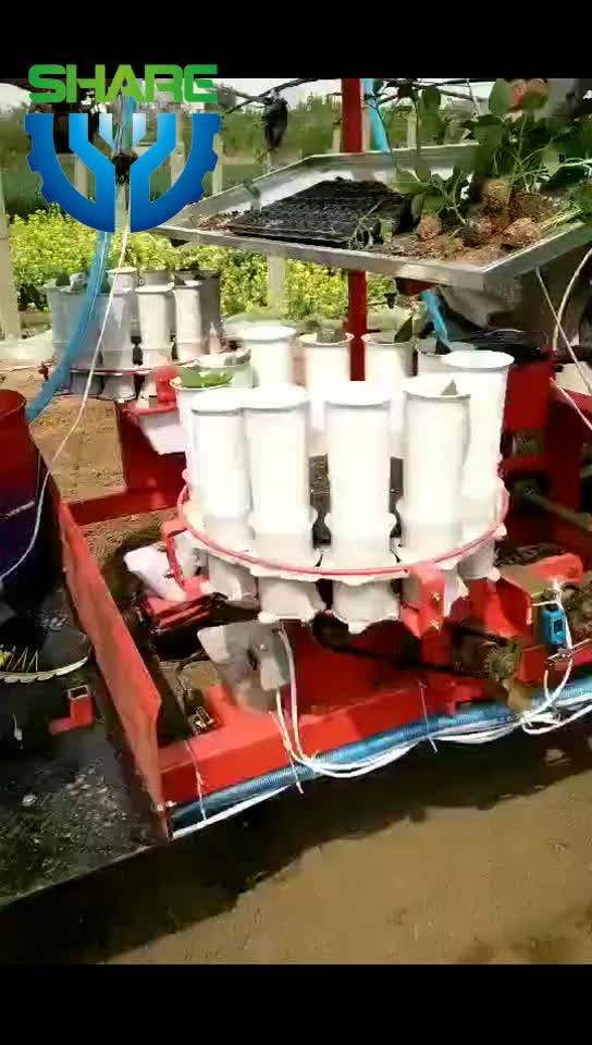 4 Row Seed Drill Cabbage Transplanter Onion Vegetable Planter Buy 4