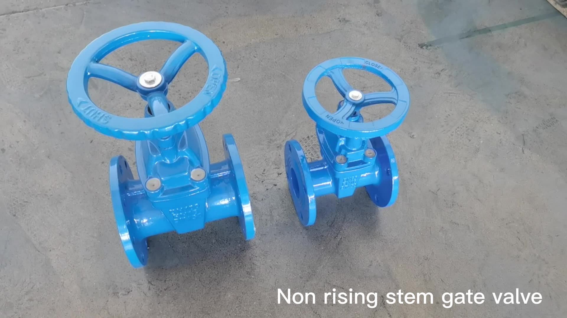 Cast Iron Pvc Gate Valves Ruberseat Flange Non Rising Stem Gate Valve