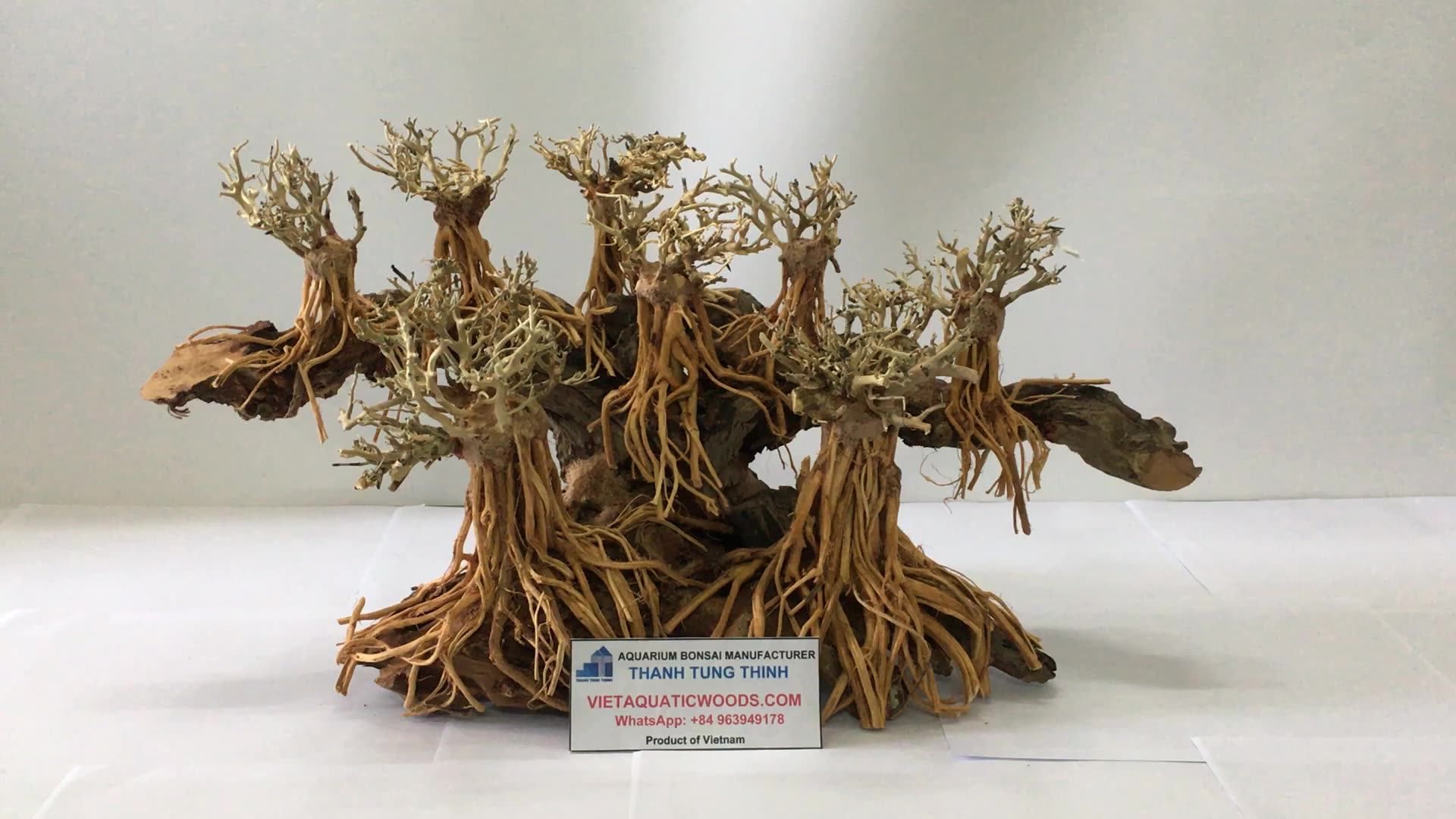 Hot Items 2023 Aquarium Bonsai Driftwood For Aquariums Accessories