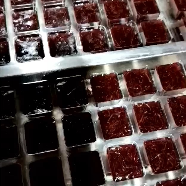 замороженный червяк