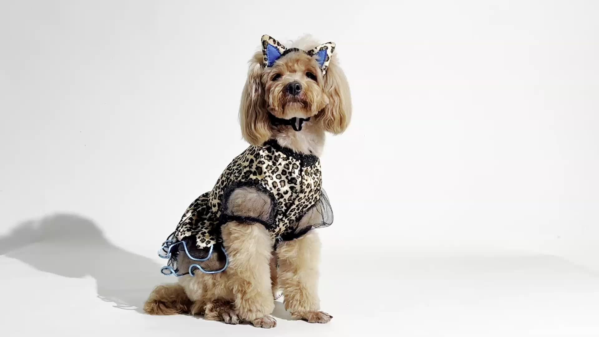 Cute Dog Cartoon Costume Puppy Carnival Party Animal Dress Pet