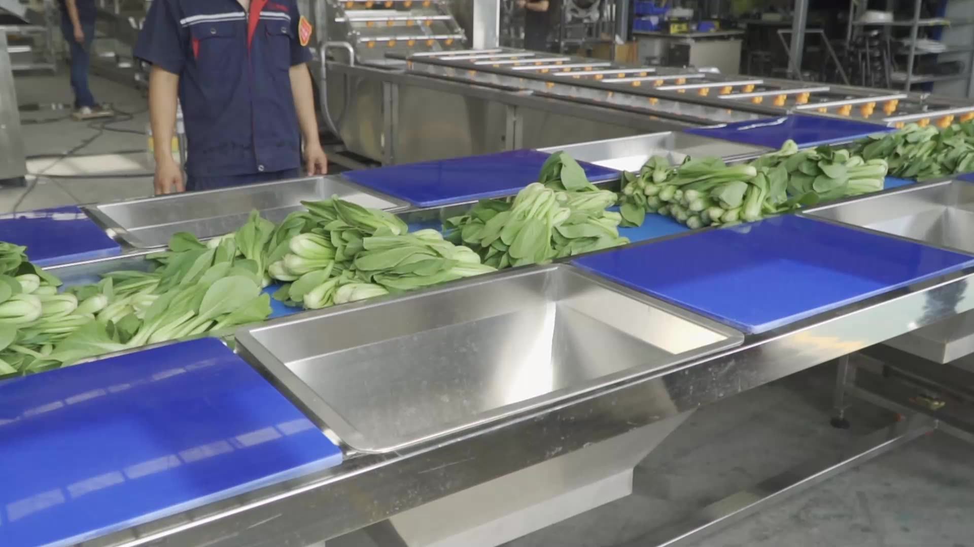 Stainless Steel Watermelon Melon Papaya Washing Banana Cleaner Banana