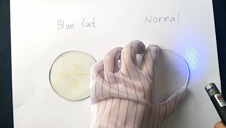 blue cut photochromic lens price