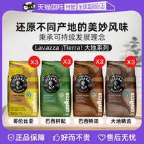 (Self-operated) LAVAZZA Italian original imported iTierra series coffee beans 3 packs