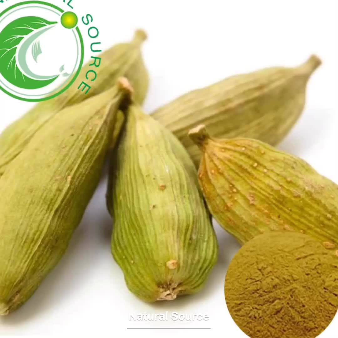 Best Price Herb Clove Eugenol Syzygium Aromaticum Clove Extract 101