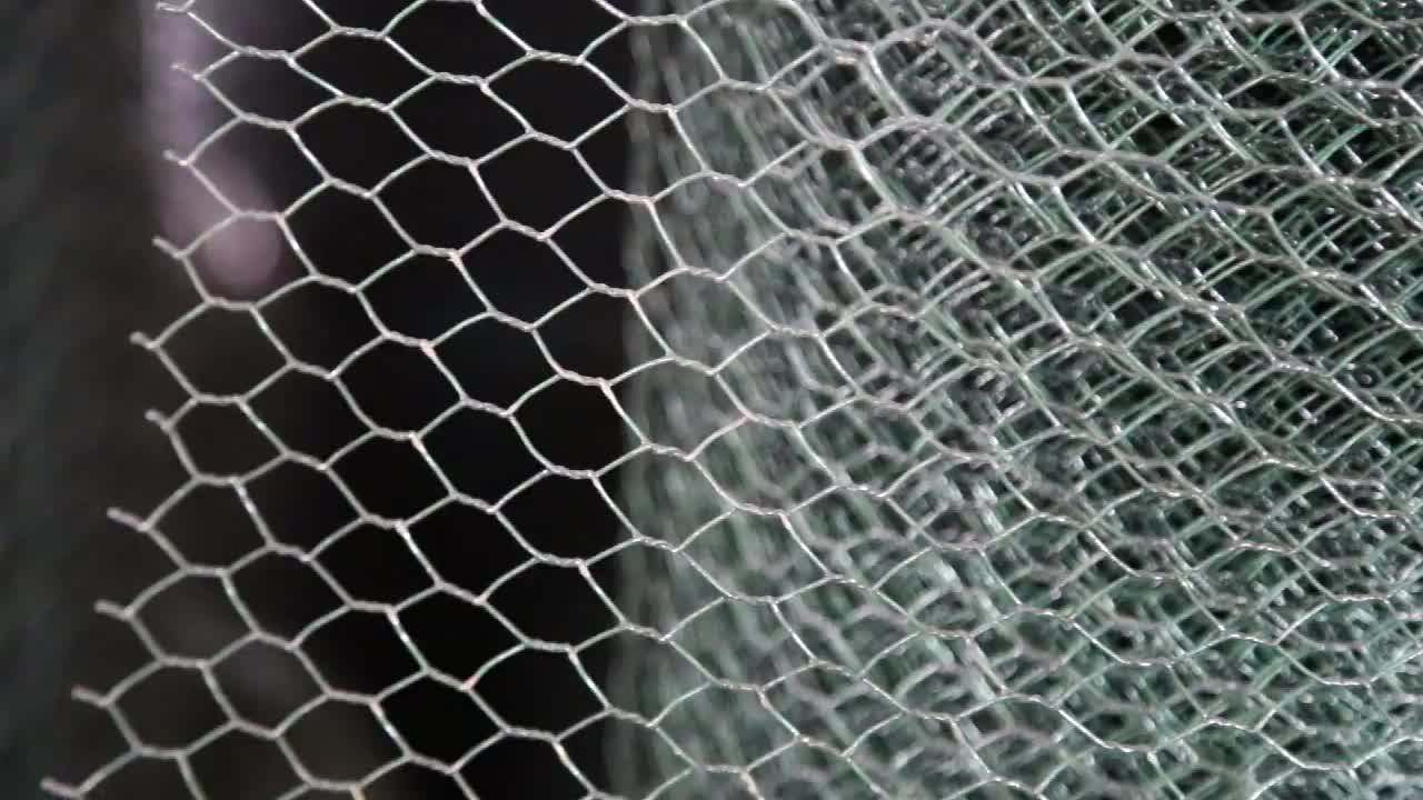 Lowest Price Chicken Wire Netting / Pvc Coated Galvanized Hexagonal